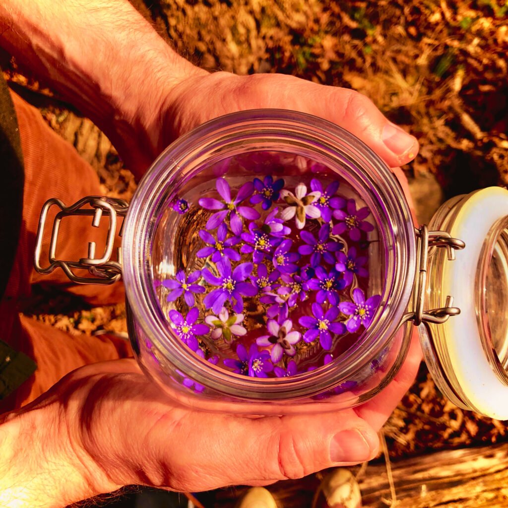 Holistic services by Mervin Wilk in Sweden: EMK Kinesiology, Eurythmy Therapy, Essence Consultation, Nutrition & Phyto Therapy advice and Healing