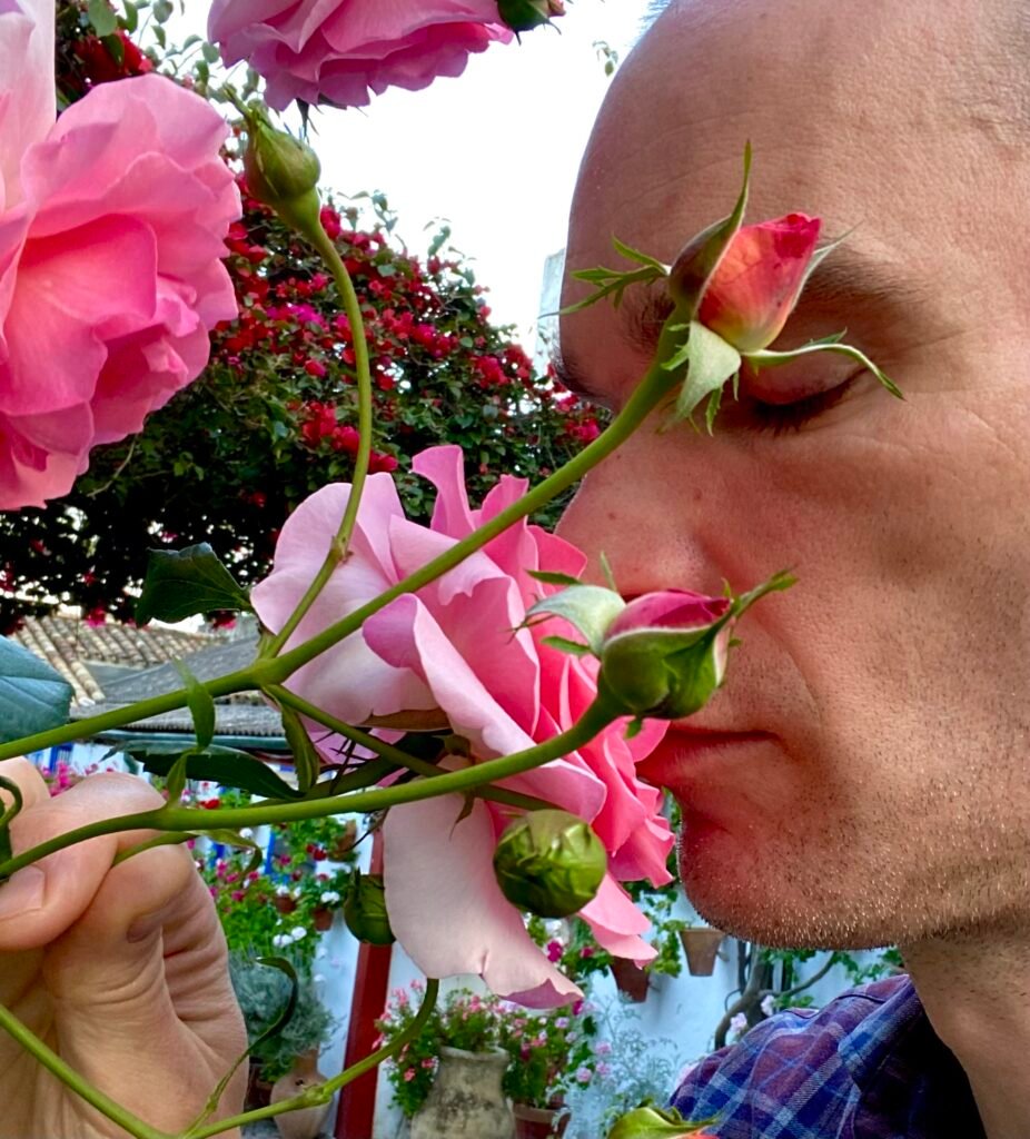 Mervin Wilk, certified Emotions & Metaphysical Kinesiologist and Eurythmy Therapist. Founder of Heart of Mervin. Located in Sweden.